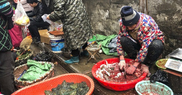 Nghiên cứu: Càng hiểu về COVID-19, càng ít tiêu thụ động vật hoang dã