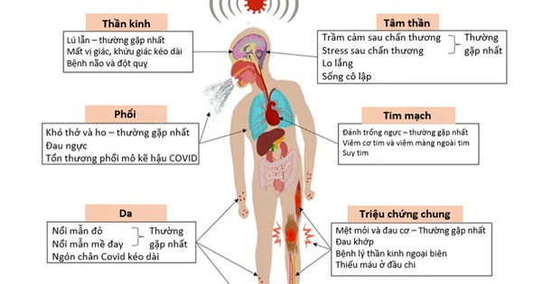 Ai dễ mắc xơ phổi hậu COVID, di chứng này có nguy hiểm không?