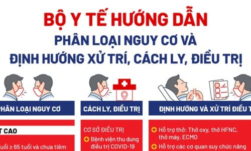 Đồ họa các nhóm tuổi và 20 bệnh lý có nguy cơ trở nặng khi mắc COVID-19